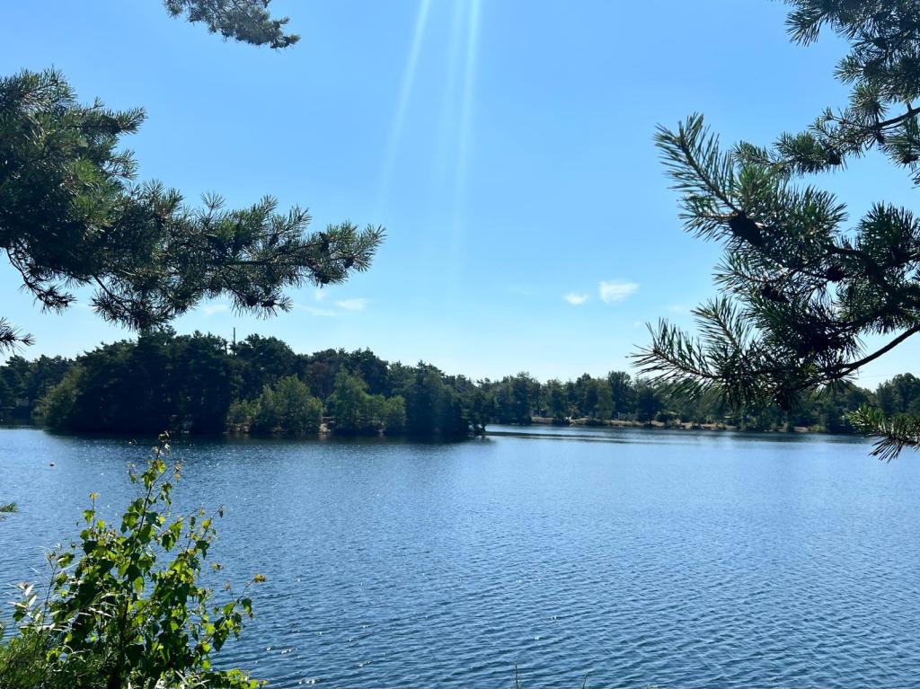 Tips for a Budget-Friendly Holiday at Center Parcs De&nbsp;Vossemeren