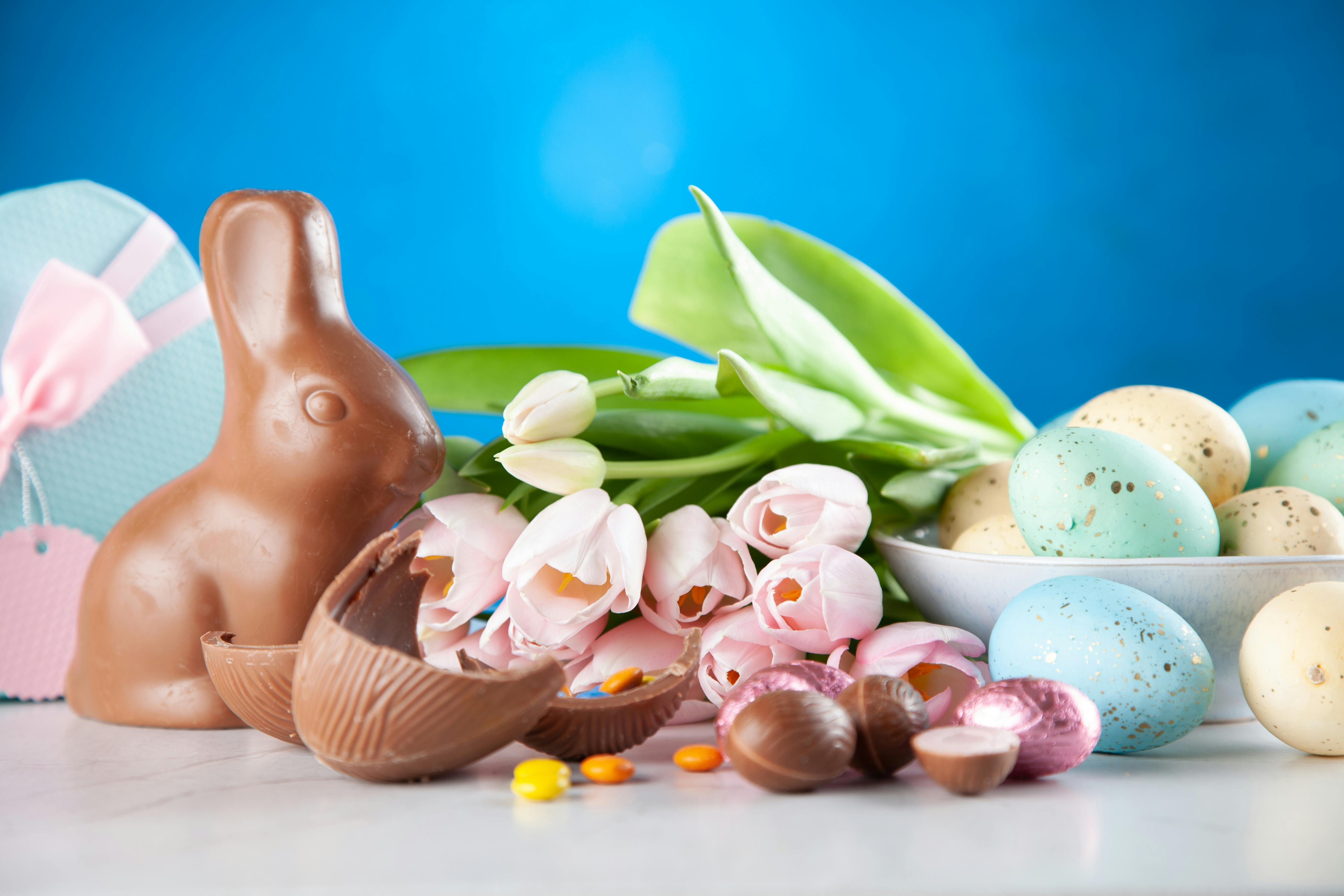 Easter, bunny chocolate, tulip, egg chocolate, blue, brown, baby blue, green, pink,